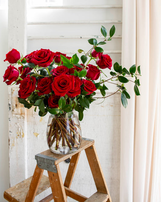 9. Stunning Roses